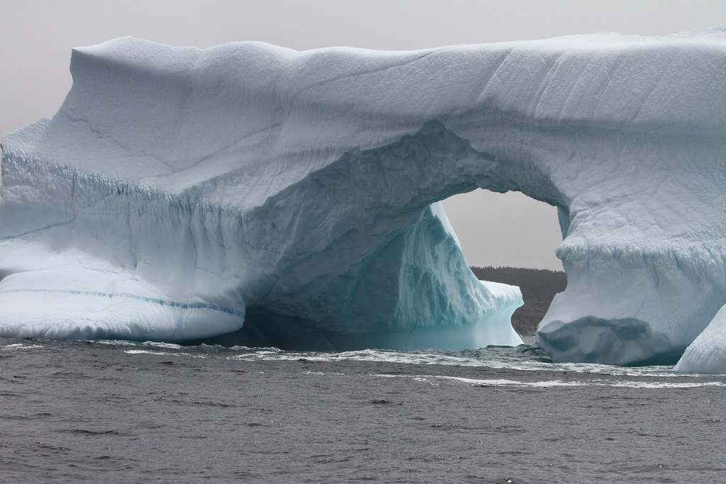 Newfoundland Iceberg